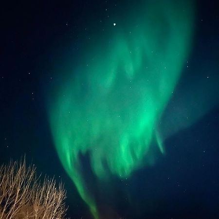 Appartment Close To The City, Ocean And Mountains -Tromsø Esterno foto